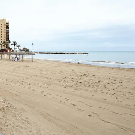 Lenas Pedro Lorca * Torrevieja