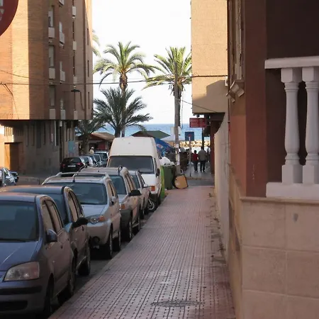 Lenas Pedro Lorca Torrevieja