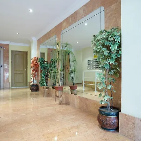 Lenas Pedro Lorca Torrevieja